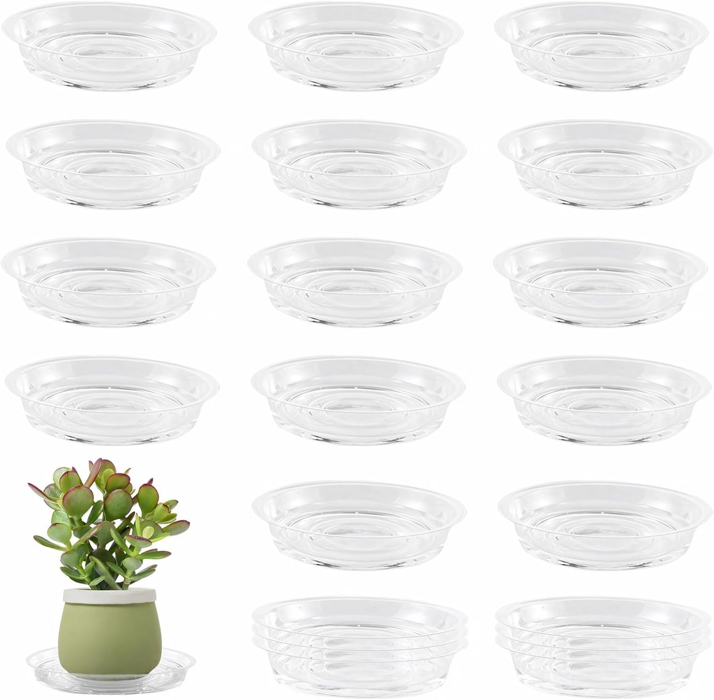 Set 20 platillos plástico transparente 6pulg para macetas