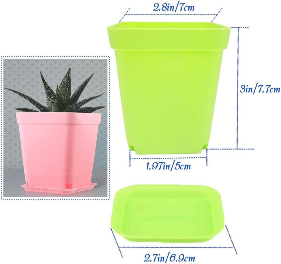 24 Macetas Plástico 3pulg Cuadradas Jardín Multicolor