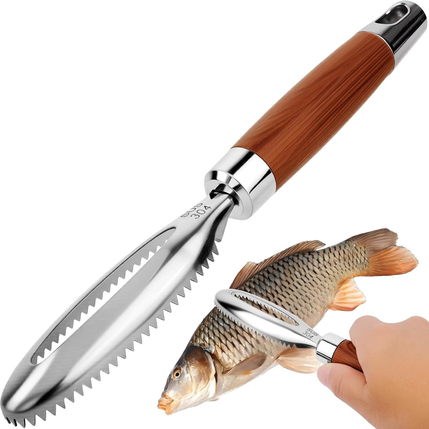 Herramienta de acero inoxidable para quitar escalador de pescado con mango de madera