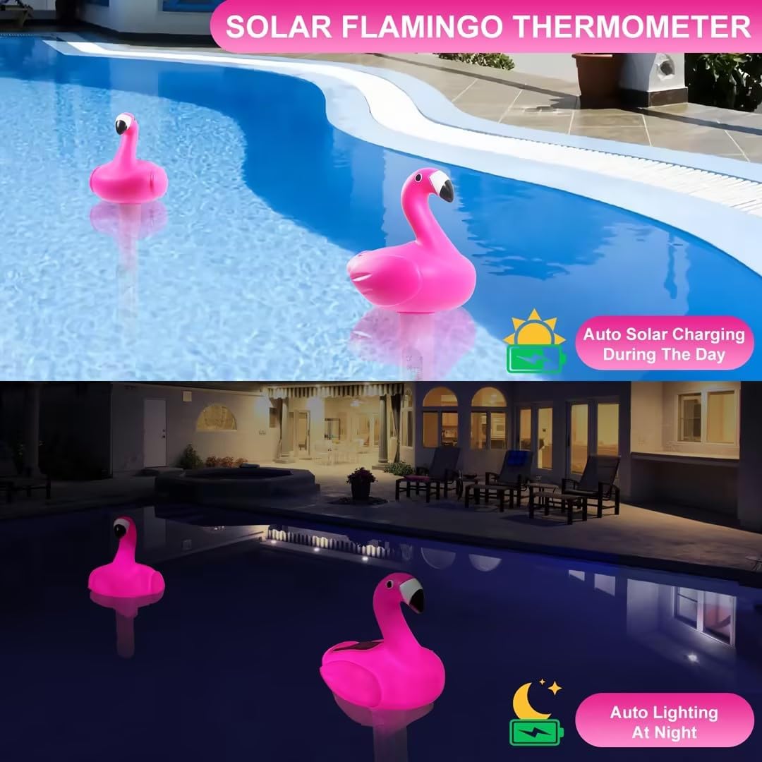 Termómetro flotante piscina solar de flamenco