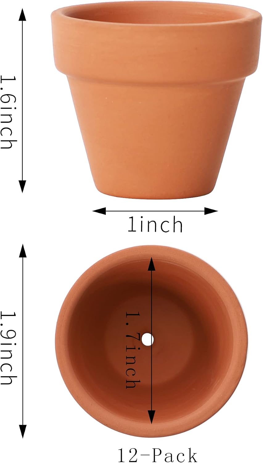 Macetas terracota 1.9pulg set 12 con agujeros cactus suculentas