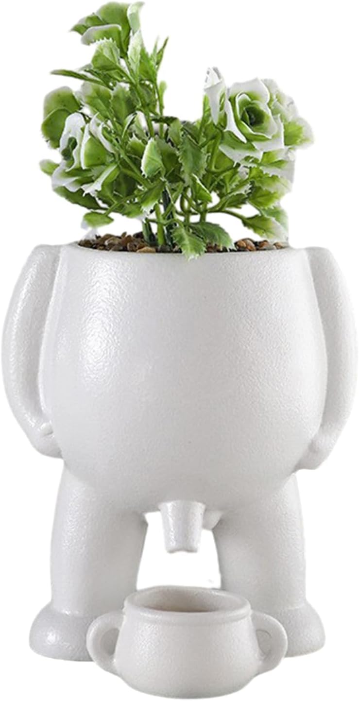 Maceta diseño novedoso para suculentas y decoración blanco