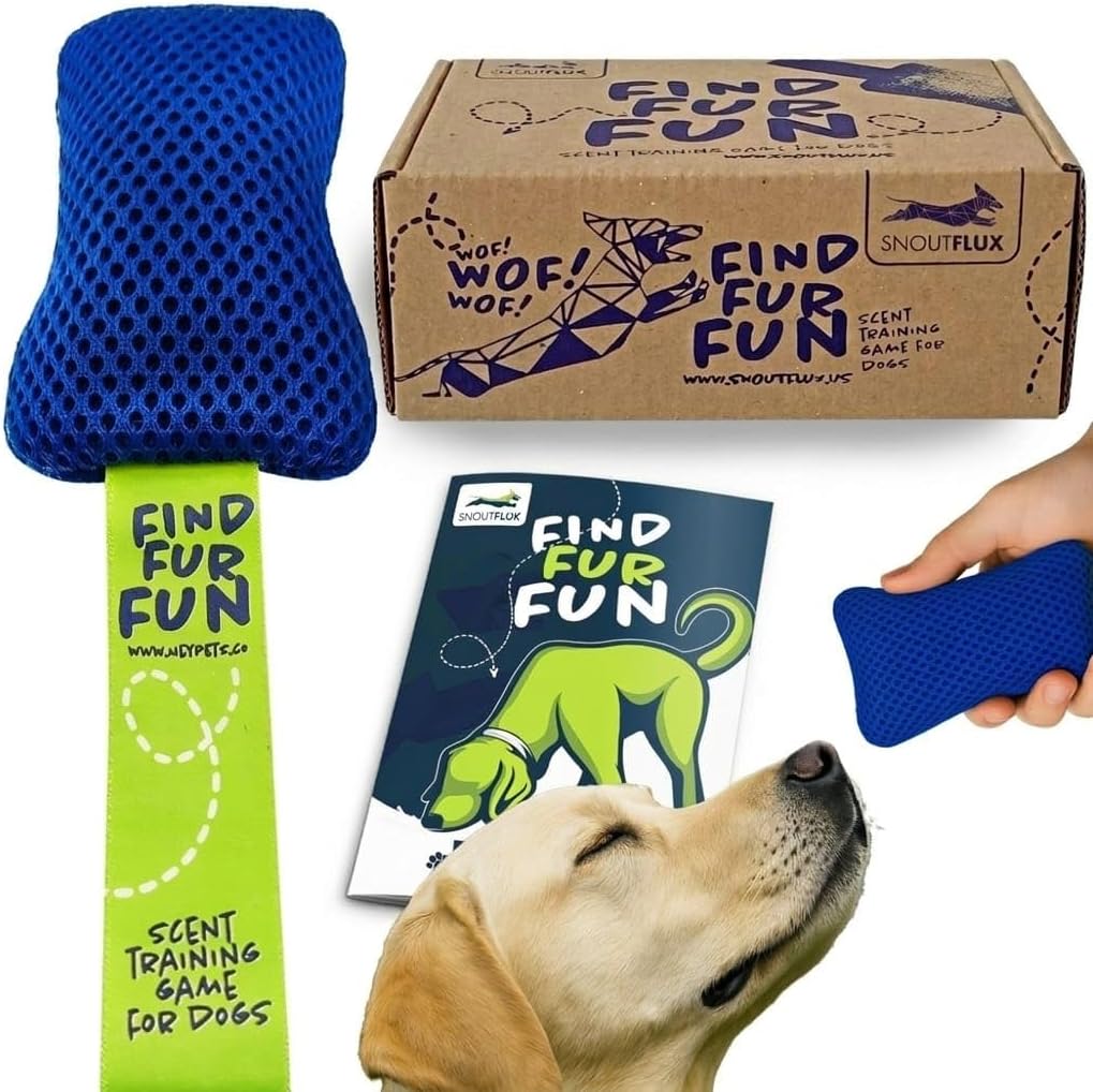 Juego interactivo para perros con aroma anís