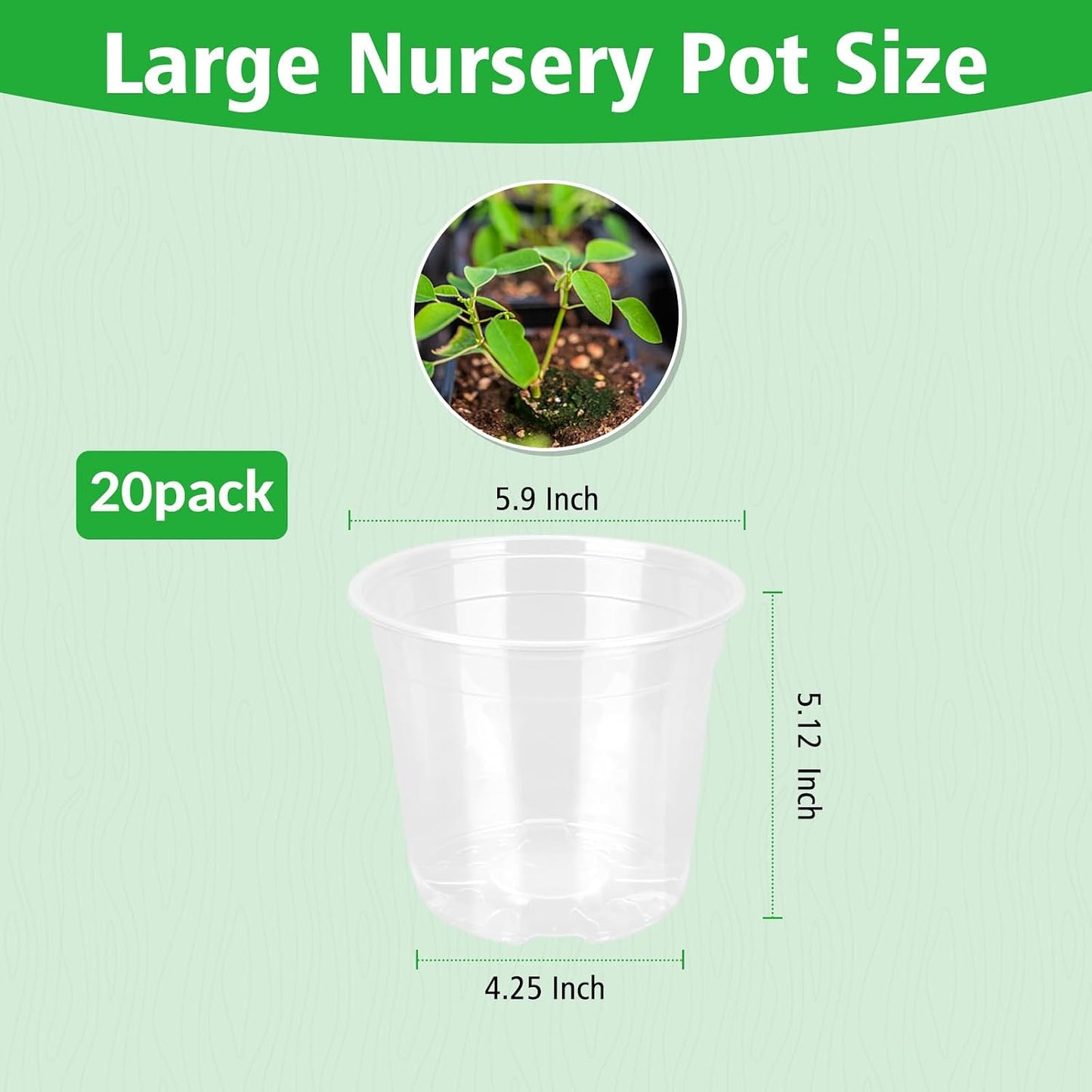 Macetas plástico transparente 6pulg drenaje set 20 para plantas