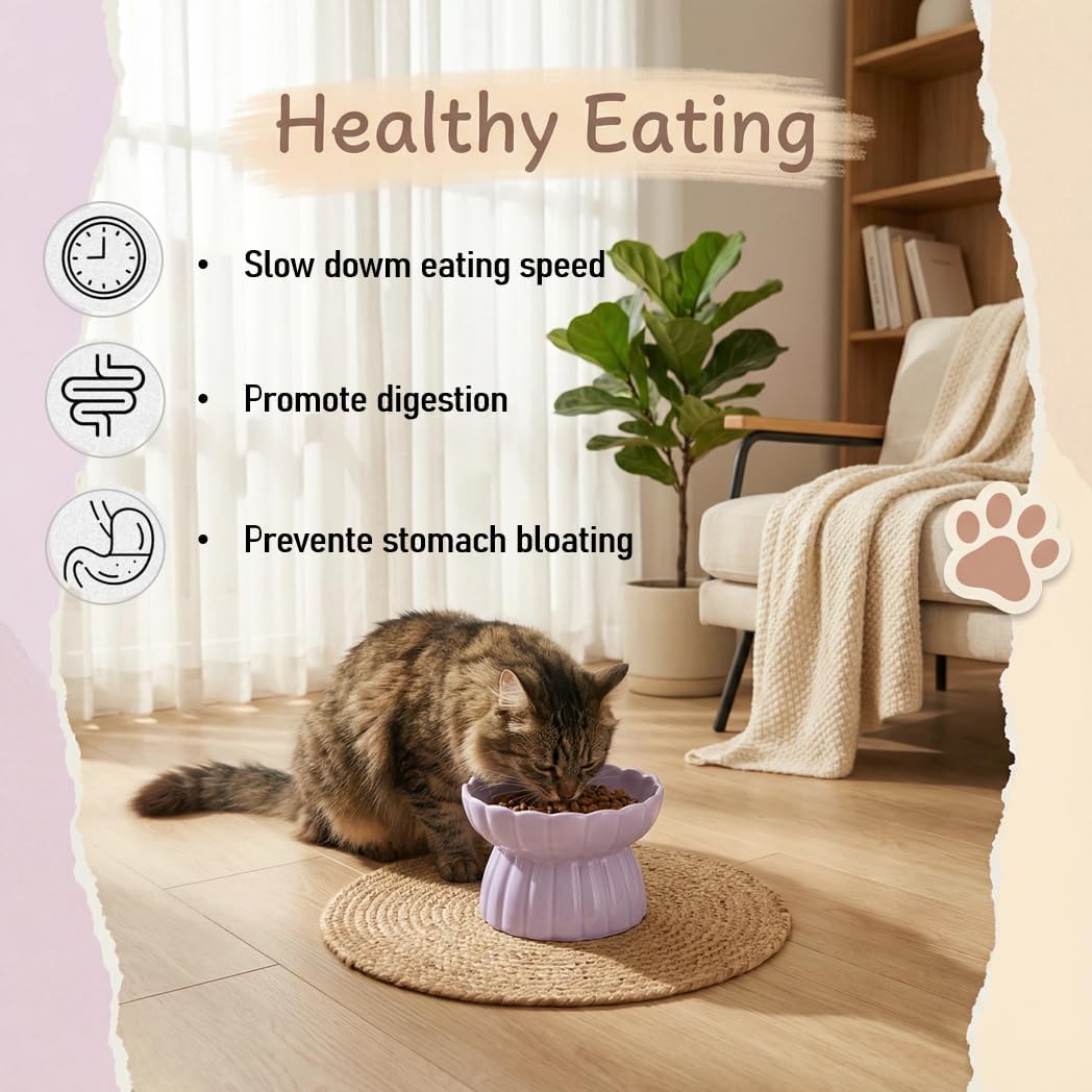 Comedero lento cerámica gato cuenco elevado antivómitos morado