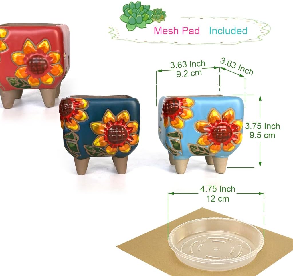 Maceta cuadrada 3.63pulg para suculentas set 3