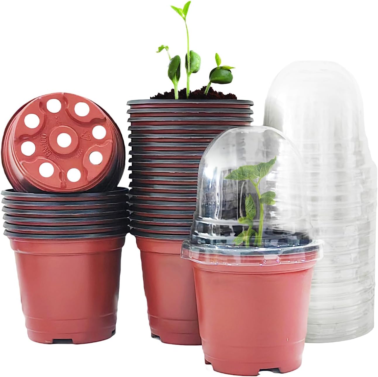 Macetas vivero con cúpulas humedad 25pulg rojas tapas transparentes