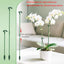 30 Estacas Soporte Plantas 14.6pulg Interior