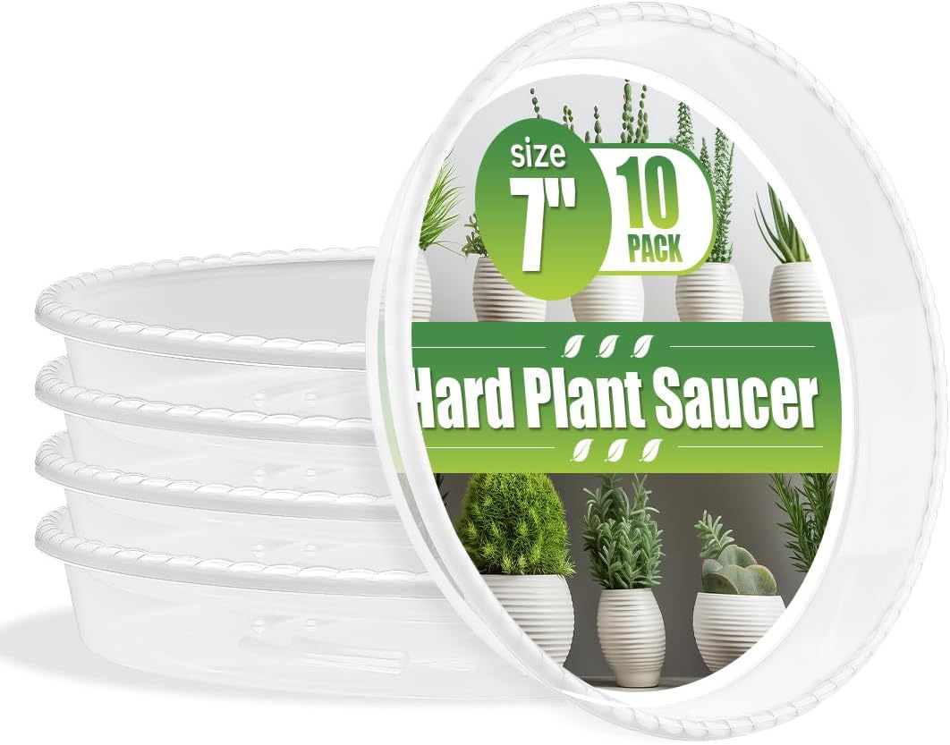 10 Platillos 7pulg Transparentes para Macetas