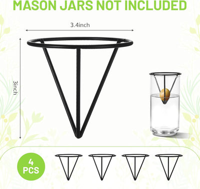 4 Soportes Jarrones Propagación Plantas
