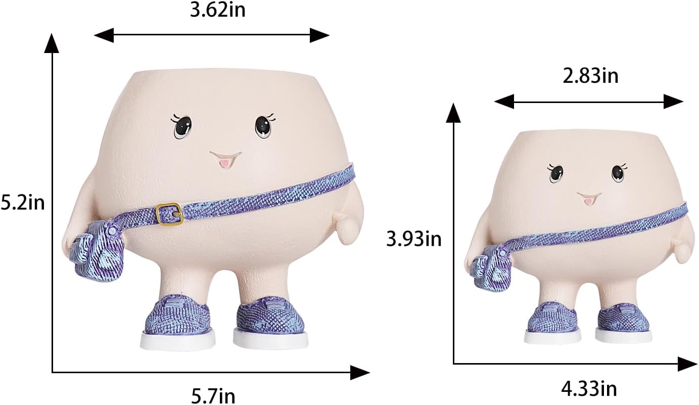 Maceta Smily Face con bolsa resina para suculentas con drenaje