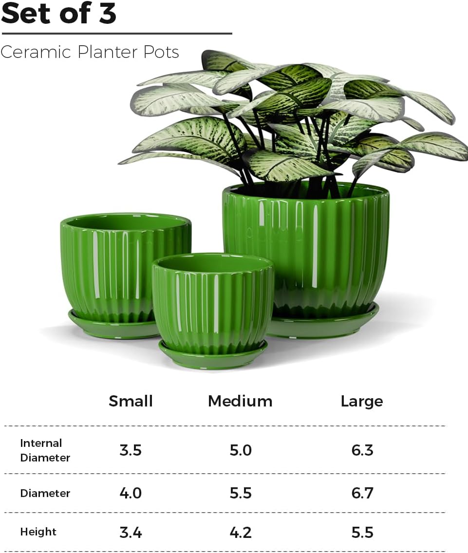 Set 3 Macetas Cerámica 4-6pulg Verdes con Drenaje Hogar