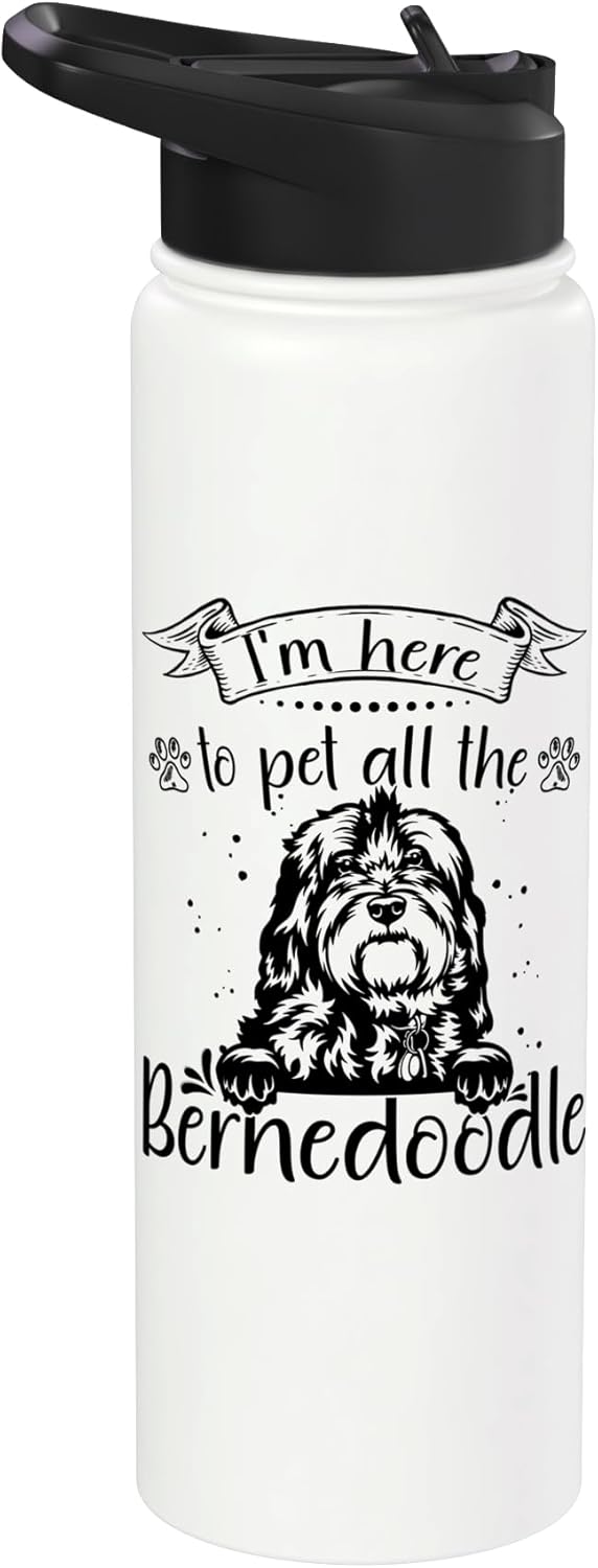 Collar para perro de peluche Mini Bernedoodle con botella de agua acero inoxidable