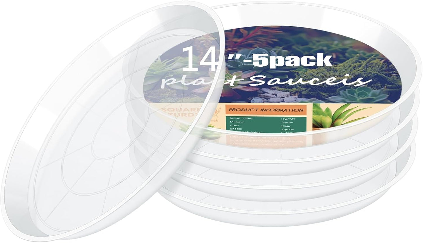 Plato transparente para plantas 4-22pulg set 5 bandejas colectoras
