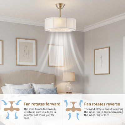 Fan techo con luz control remoto 6 velocidades estilo boho
