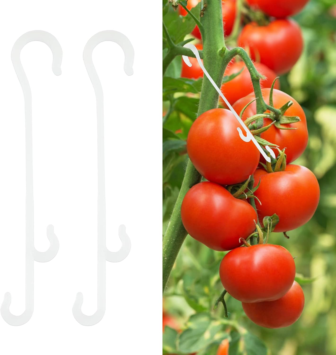 100 Clips Gancho J para Tomate y Verduras