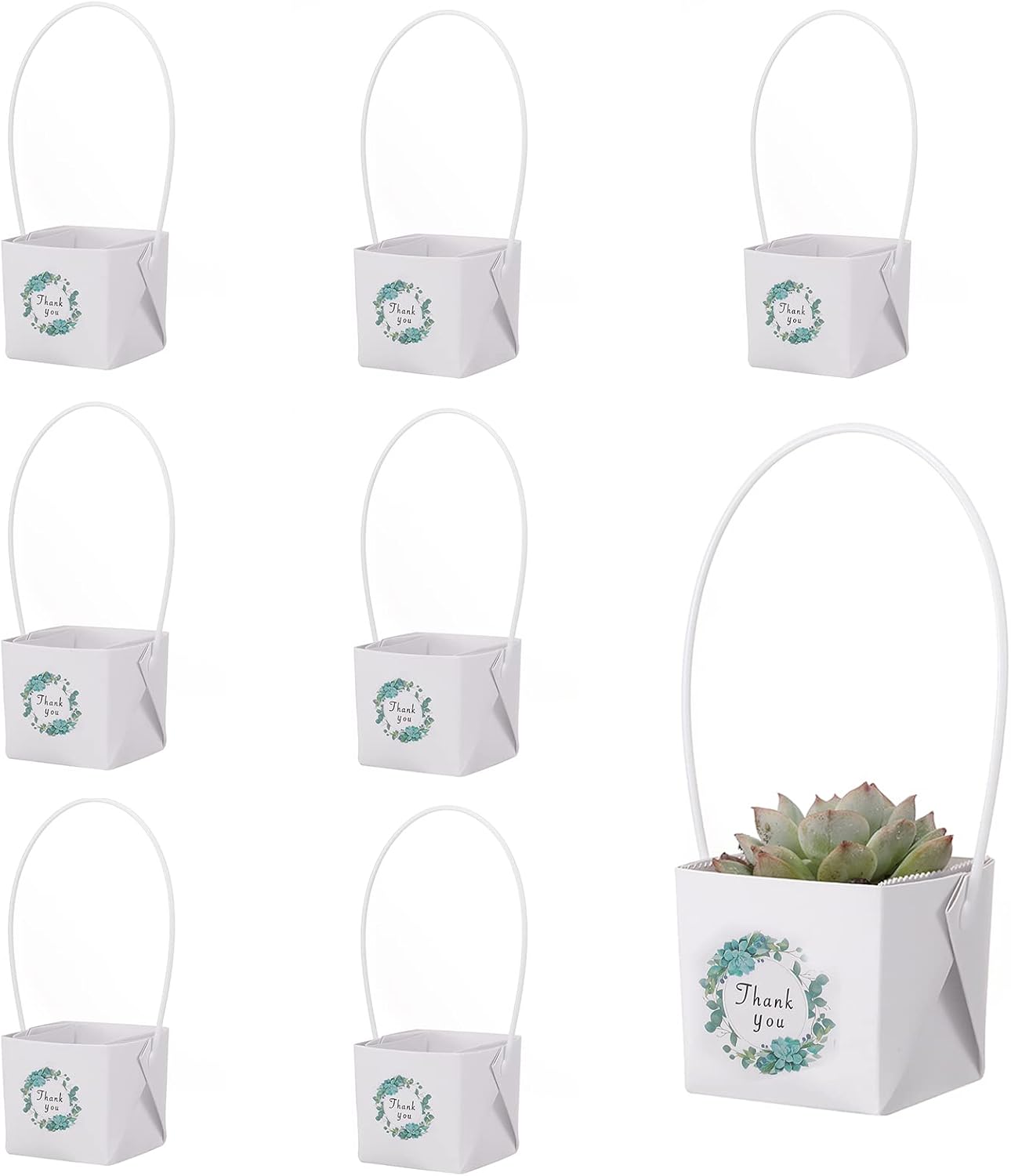 40 Envolturas Suculentas Blanco para Bodas y Regalos