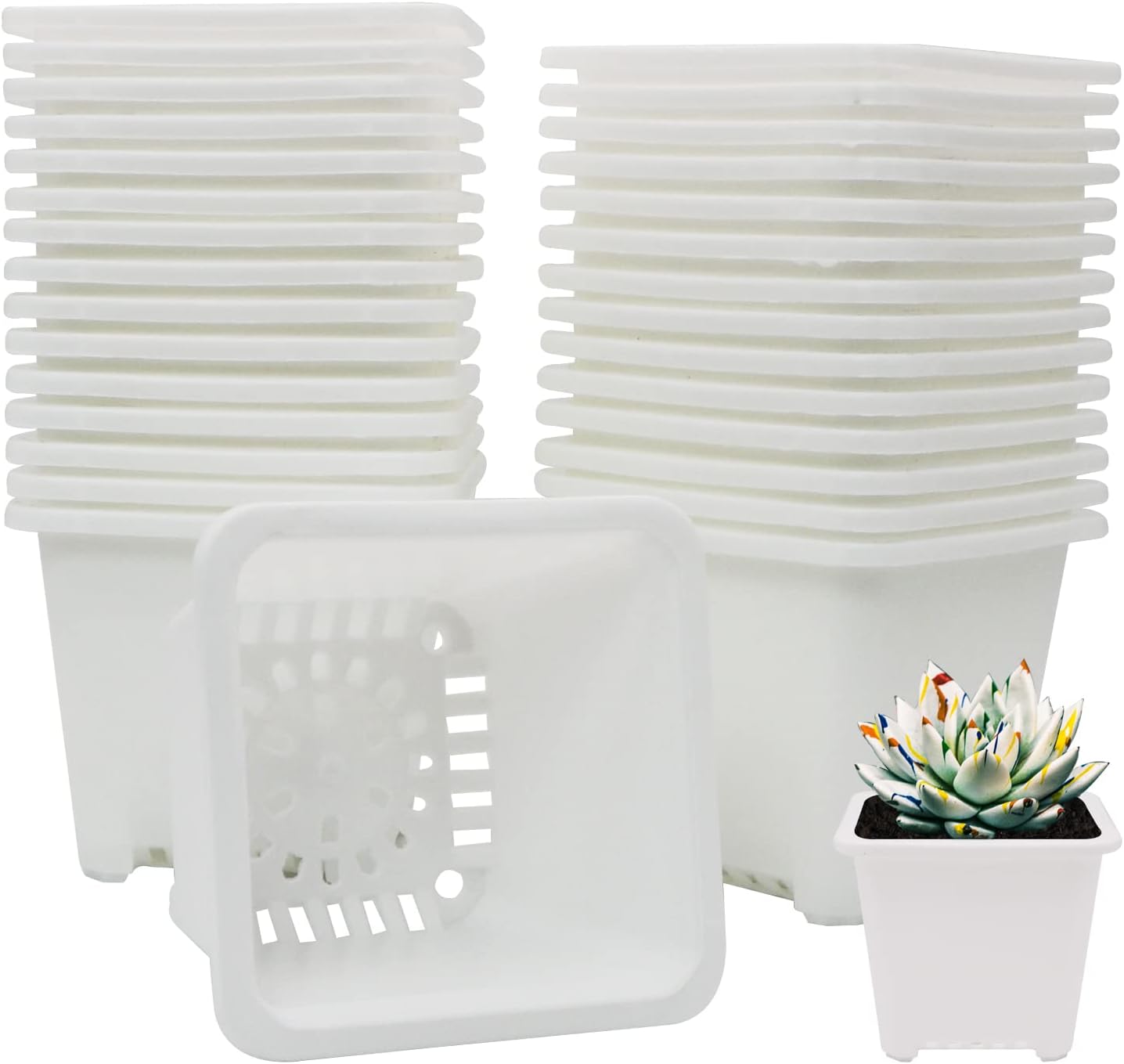 Macetas cuadradas plástico 3.8pulg pack 30 contenedor inicio blanco