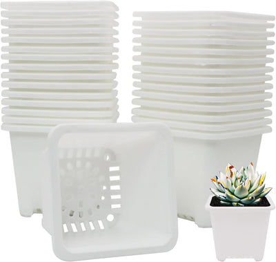 Macetas cuadradas plástico 3.8pulg pack 30 contenedor inicio blanco