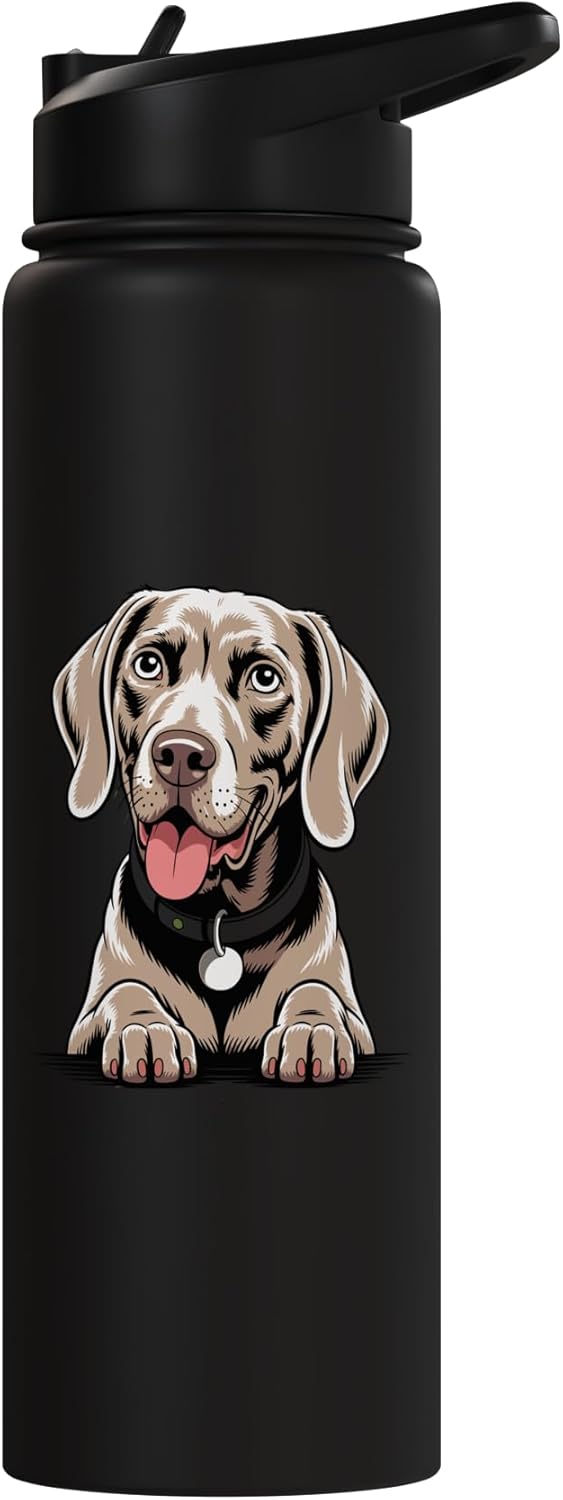 Botella de agua aislada Weimaraner acero inoxidable