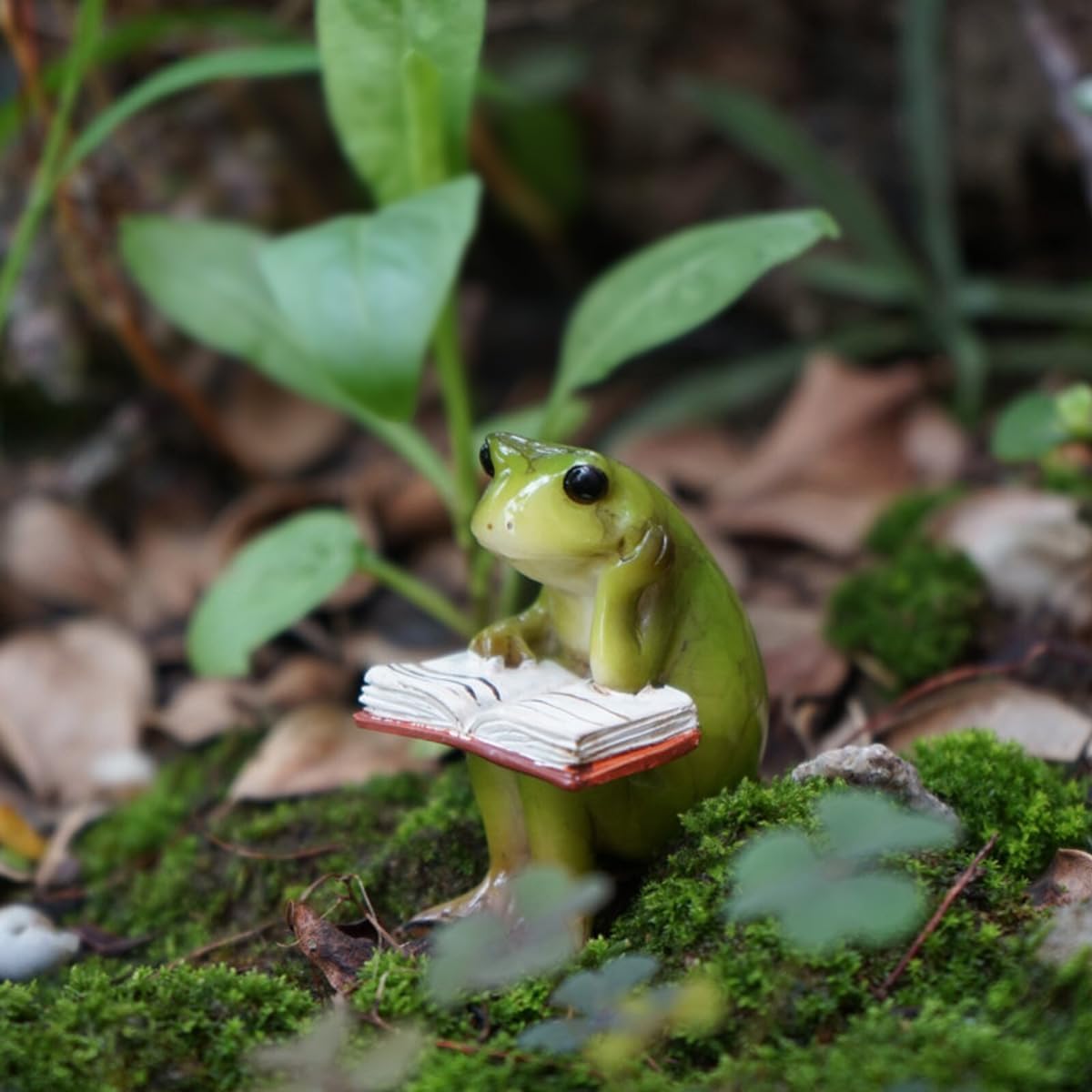 Figuras rana y conejo para jardín en miniatura