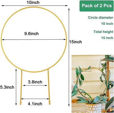 2en1 Soporte flores Hoya 15pulg dorado para plantas trepadoras