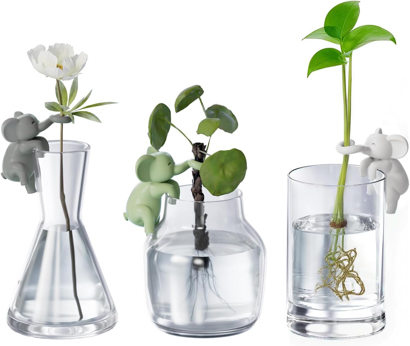 Soporte plantas hidroponía decoración terrario