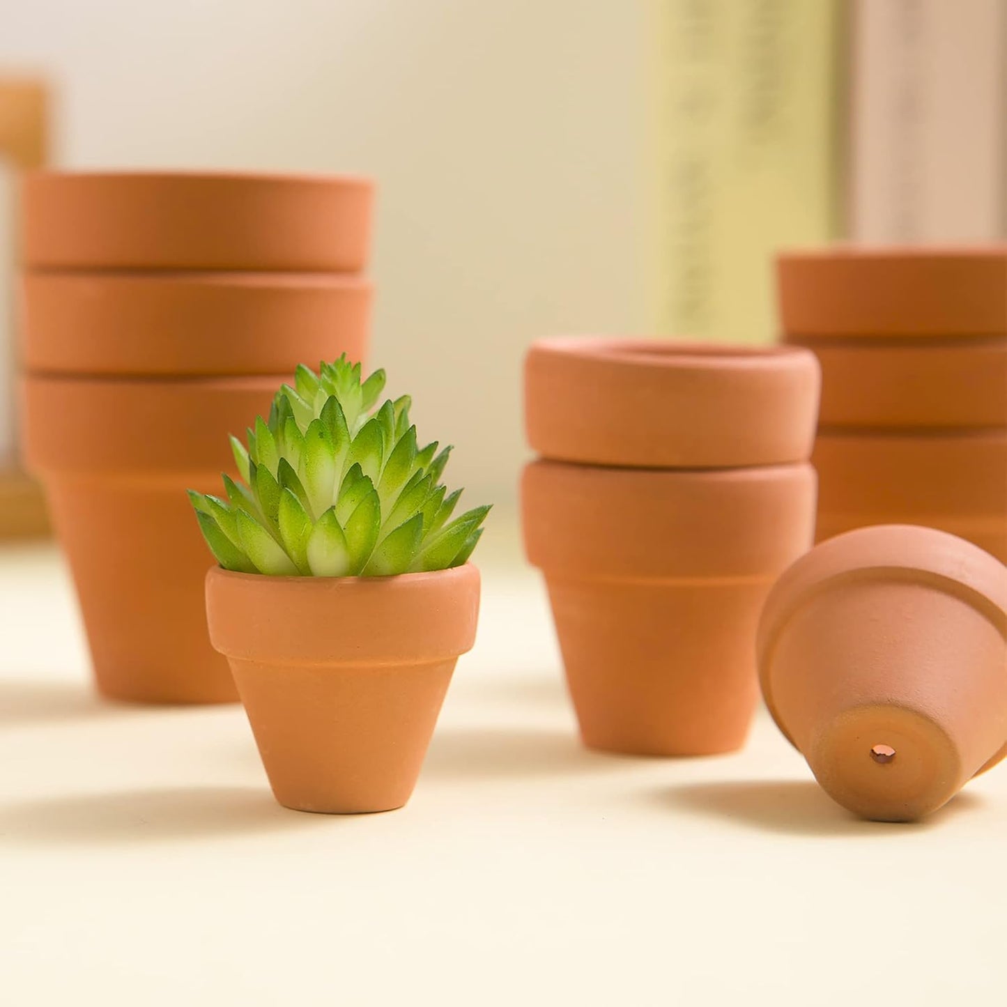 Macetas terracota 1.2pulg con drenaje para cactus y suculentas