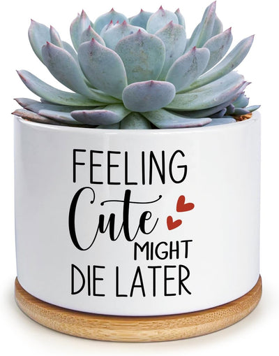 Macetas cerámica para suculentas y cactus regalo