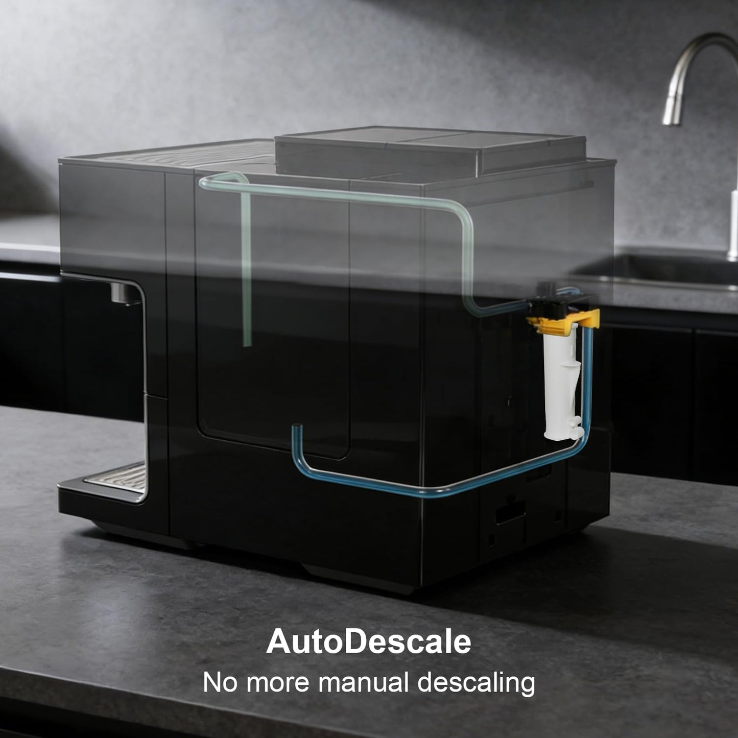 Cartucho desincrustación comp Miele GP DC 001 C