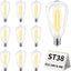 Pack 10 Bombillas LED ST38 24V Base E12 Impermeable IP65
