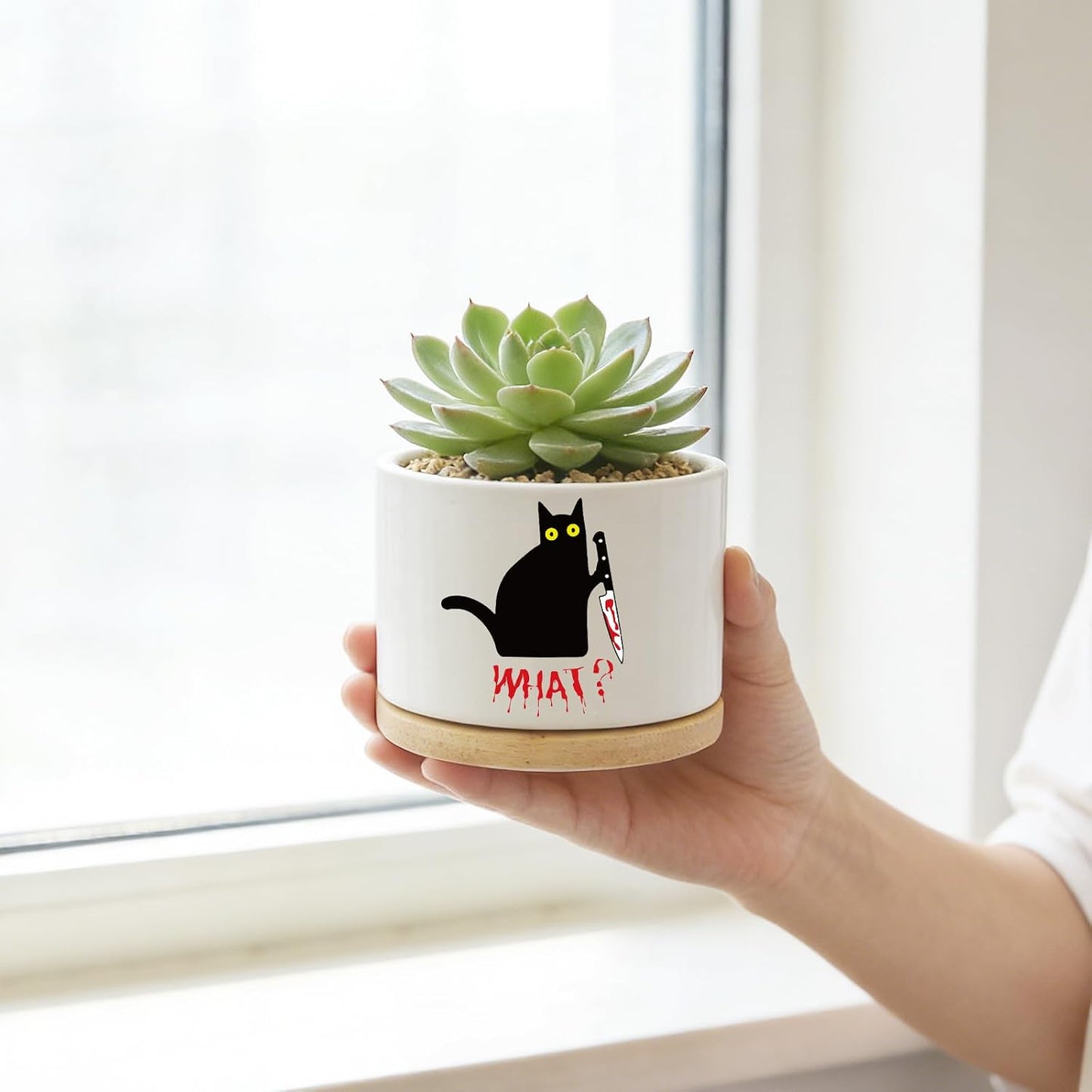 Maceta cerámica diseño gato negro para suculentas cactus