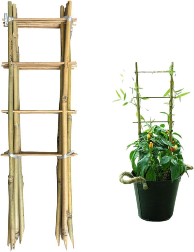 Enrejado bambú 16pulg para plantas trepadoras set 6 con lazos
