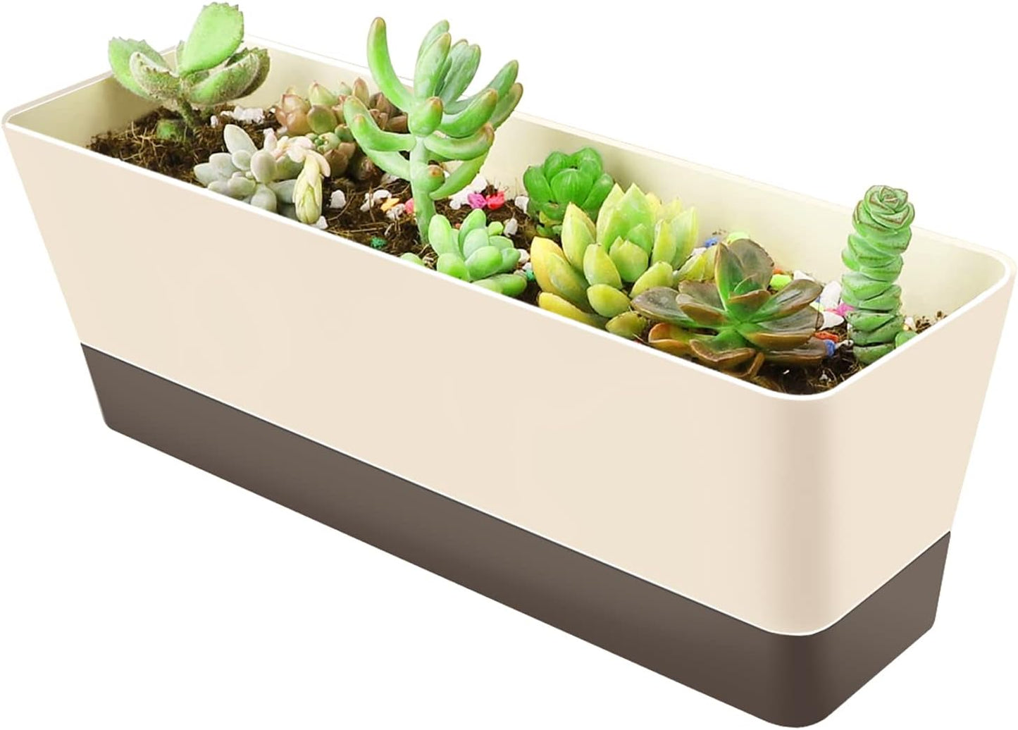 Macetero plástico rectangular 12x3.8pulg para hierbas suculentas