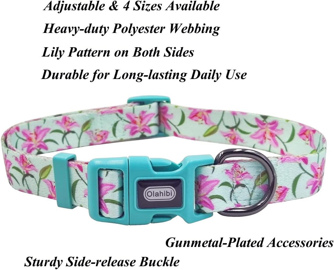 Correa collar perro patrón floral poliéster 5ft verde