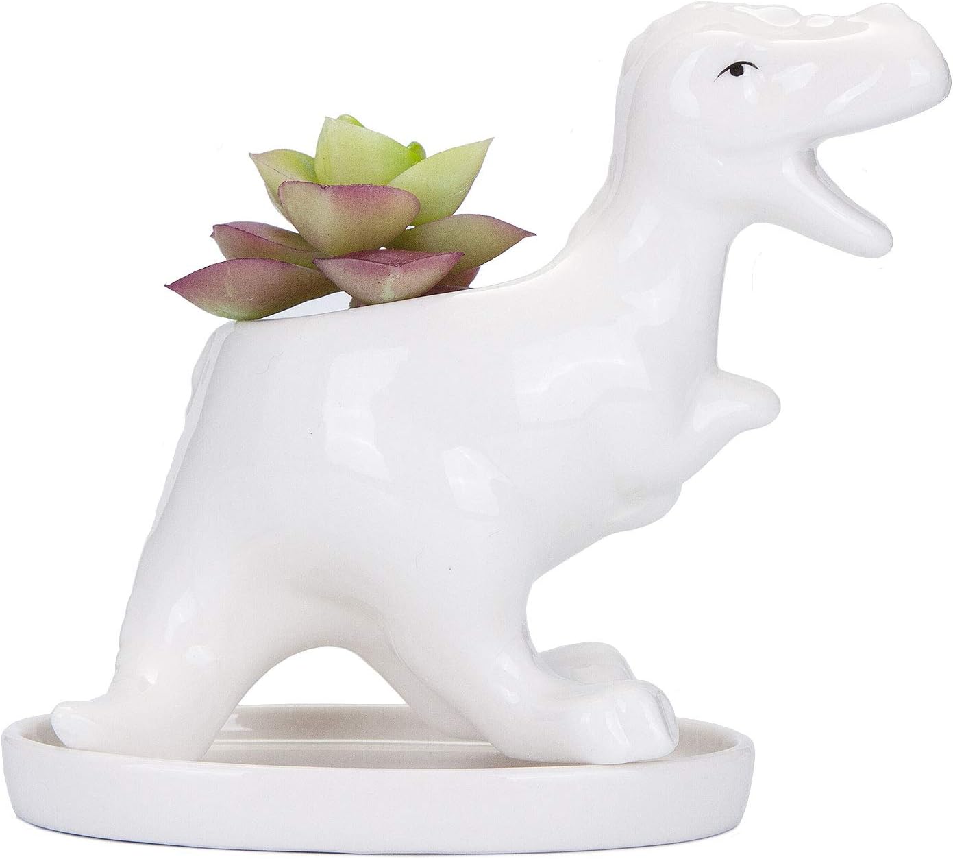 Maceta cerámica suculentas T-Rex blanco con bandeja decorativa