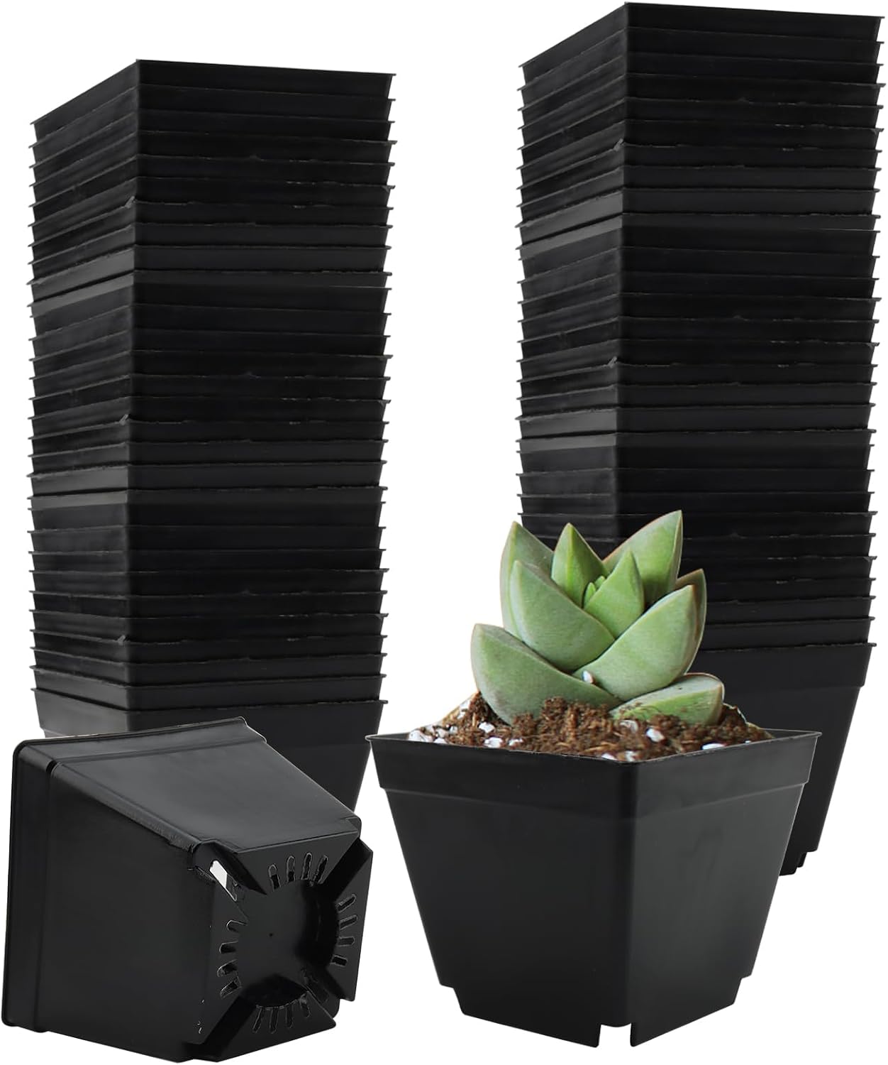 60 Macetas Cuadradas Plástico 4pulg Negro Drenaje Interior Exterior