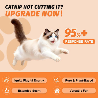 Spray hierba gatera con Silvervine para gatos 2.8oz