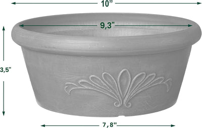 Bandeja bulbos plástico/madera 10" para suculentas y hierbas