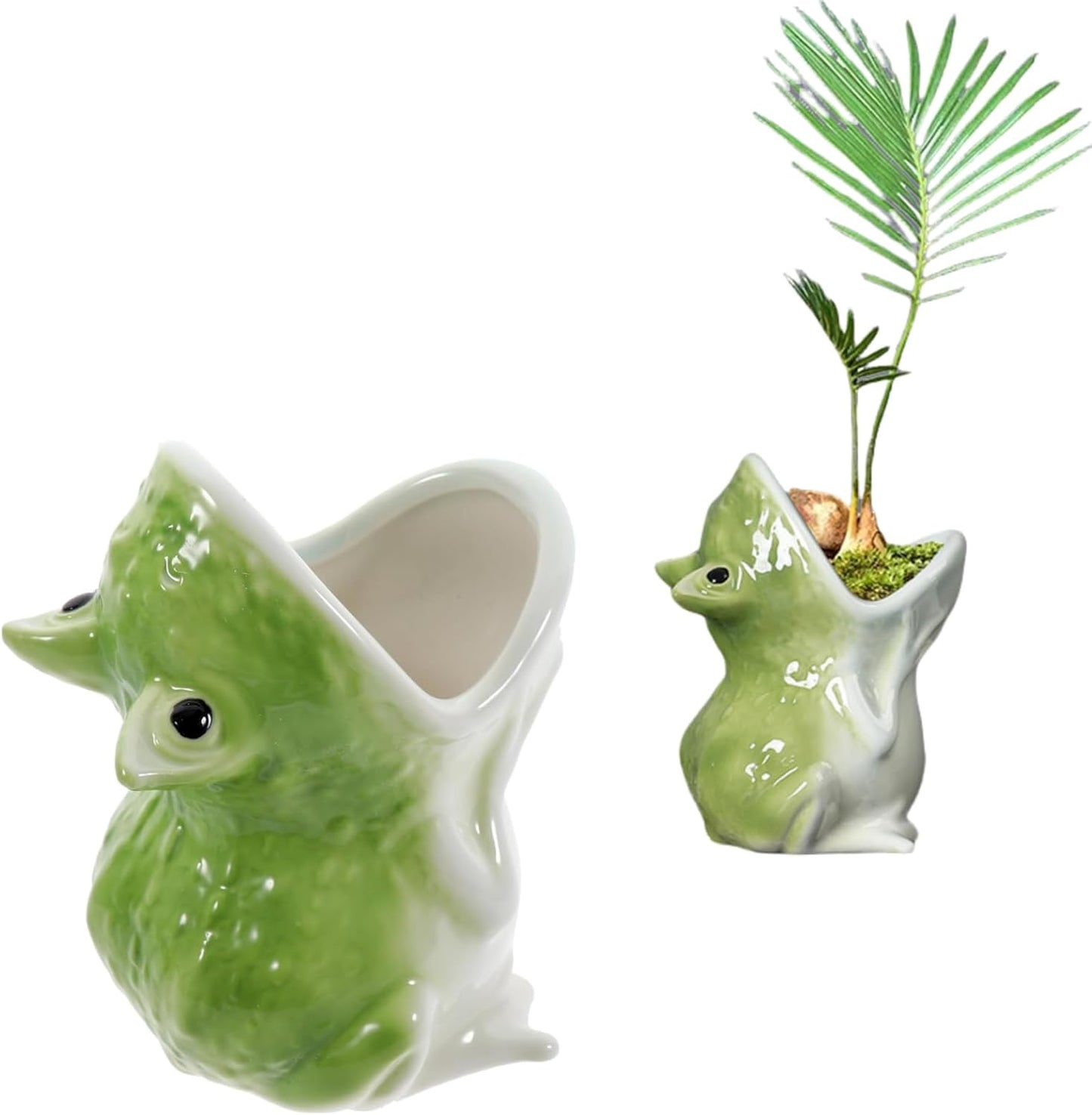 Maceta rana cerámica para suculentas cactus decoración hogar