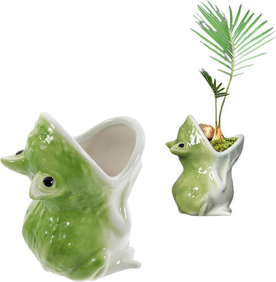 Maceta rana cerámica para suculentas cactus decoración hogar