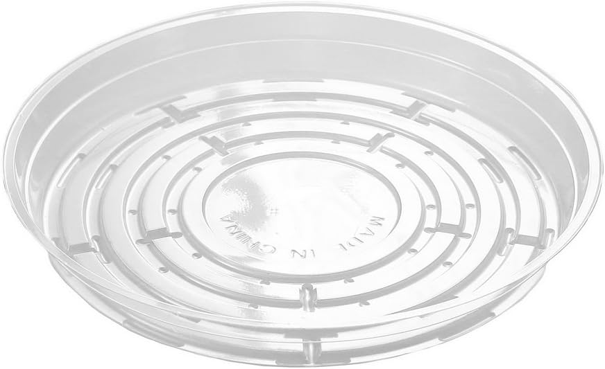 5 Pzas Platillos Transparentes 8pulg Bandeja Macetas