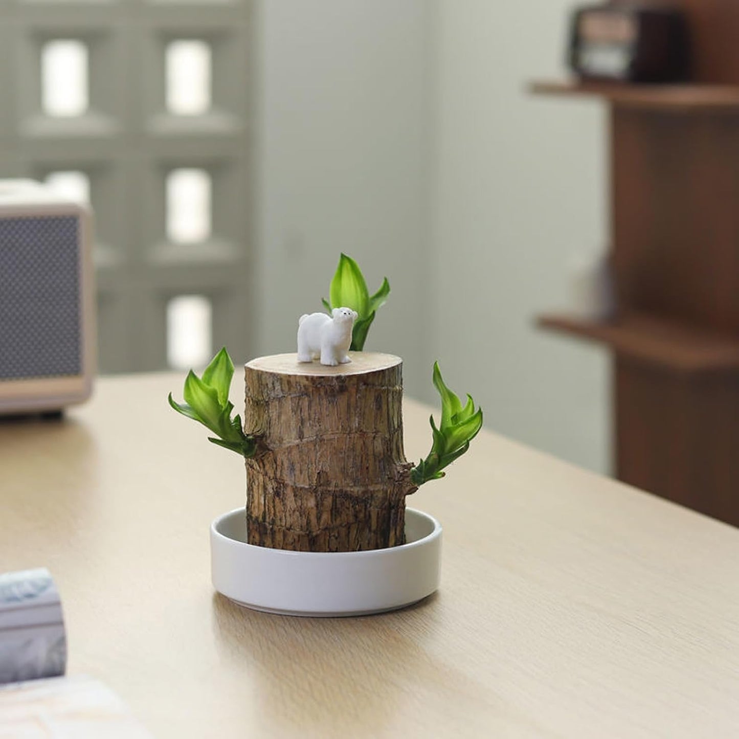 Bandeja de madera para plantas de escritorio hidropónicas