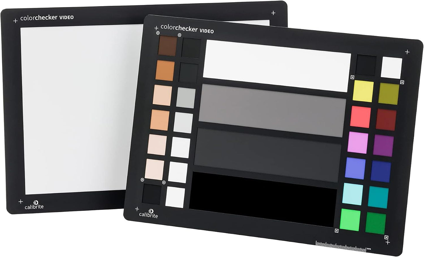 Objetivo color video con balance blancos 8x11.5pulg