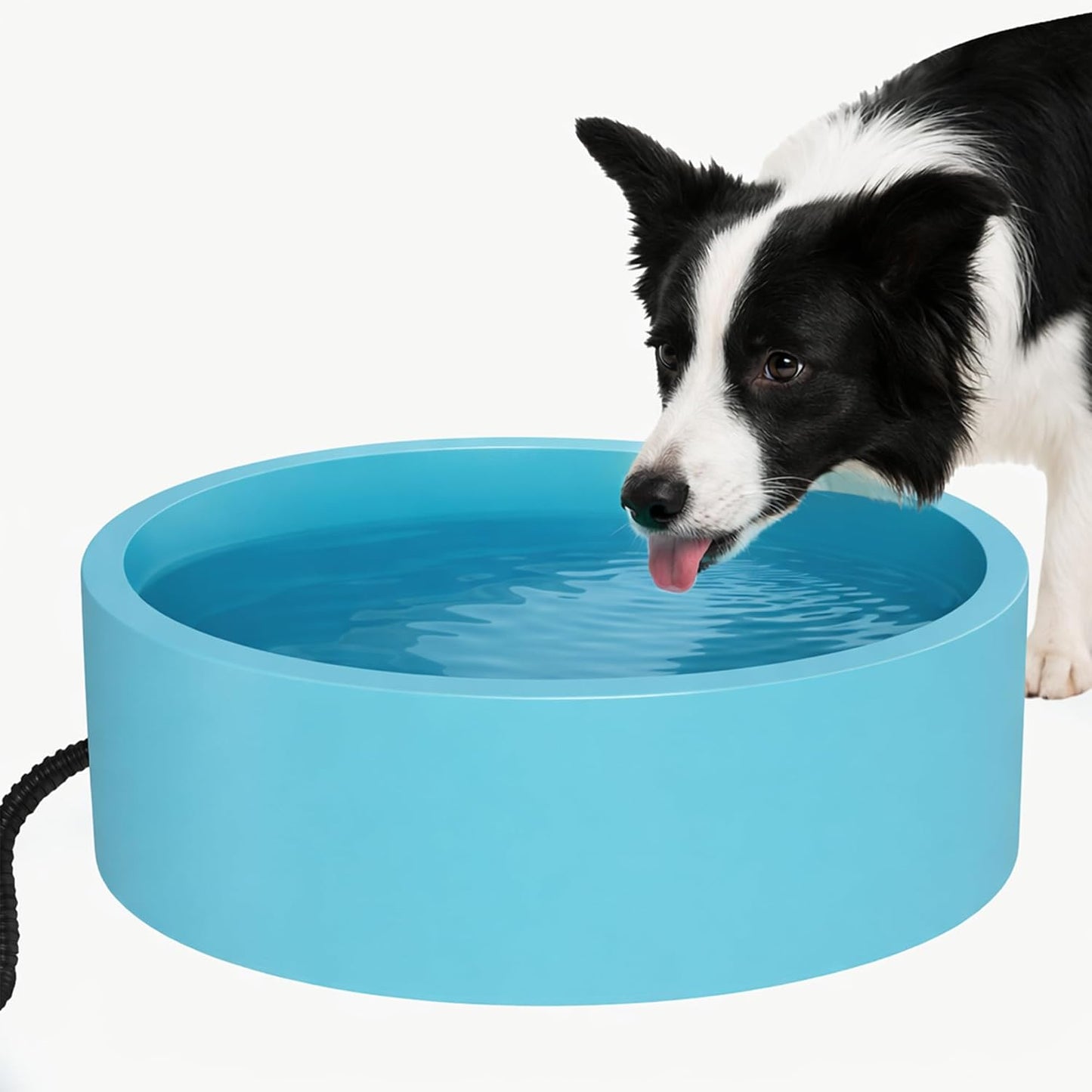 Cuenco térmico para mascotas con cable resistente al aire libre