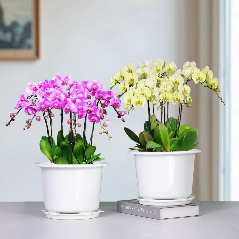 Macetas plástico 8pulg orquídeas con orificios decorativas