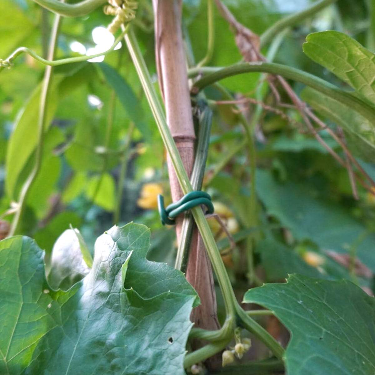 Corbata flexible para jardín alambre verde plantas enredaderas