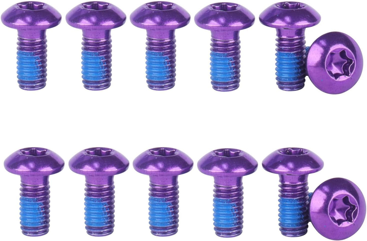 Tornillo Torx T25 acero inox M5 para jaula bicicleta 12 Uds