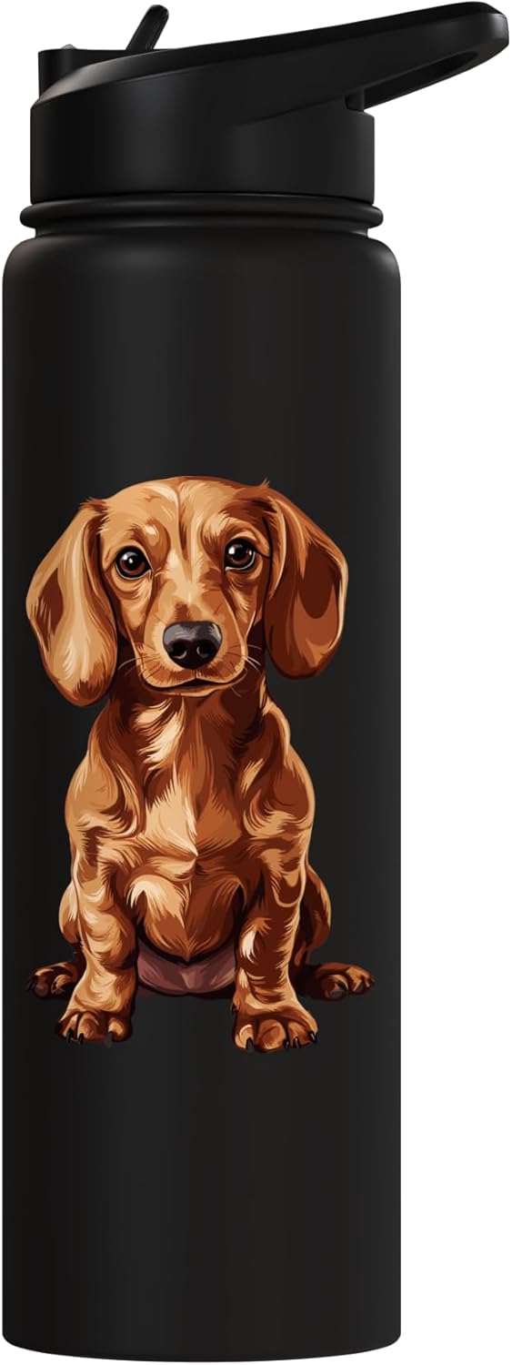 Botella de agua aislada acero inoxidable Dachshund