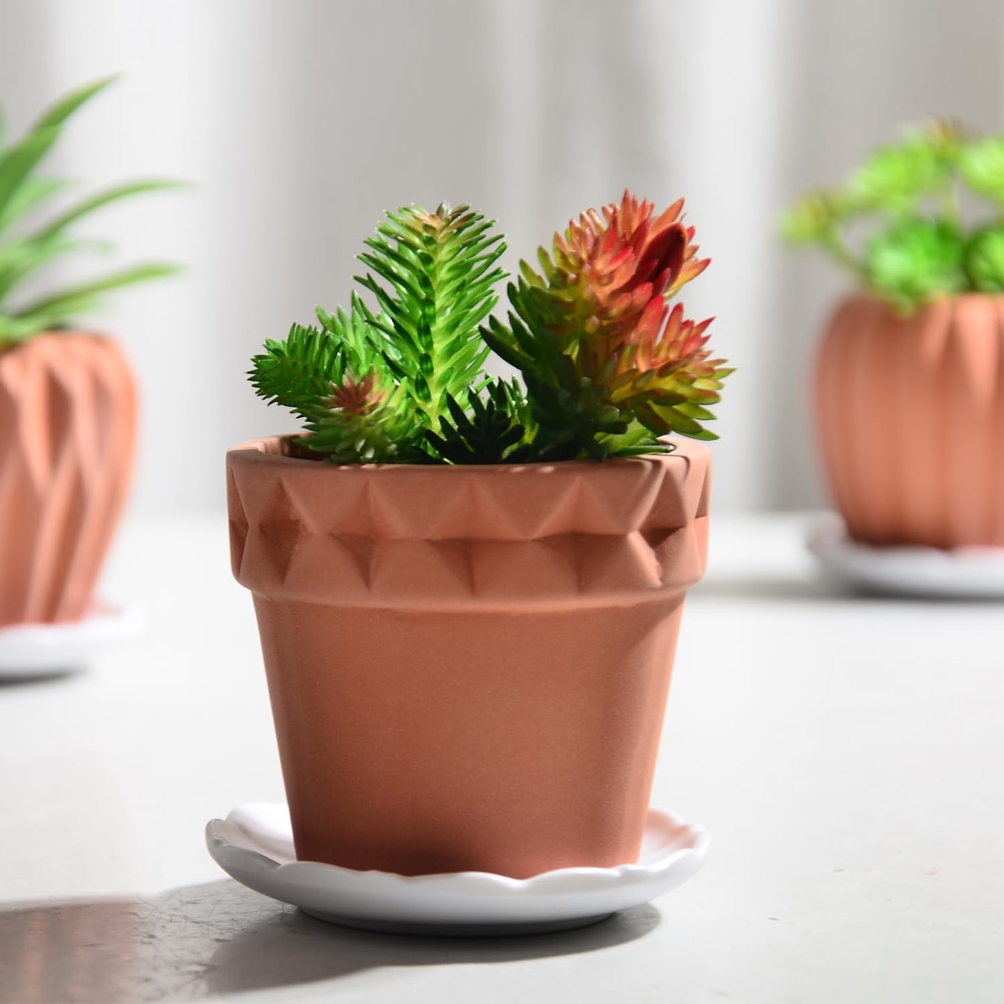 Macetas cerámica hechas a mano para suculentas y cactus